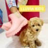 LLUVIA KIDS